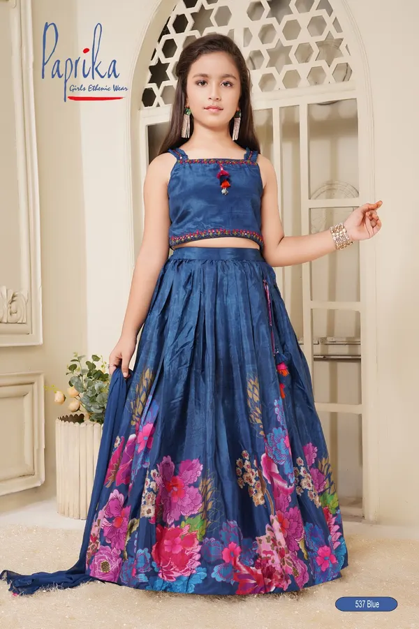 Classic choli for traditional occasions
