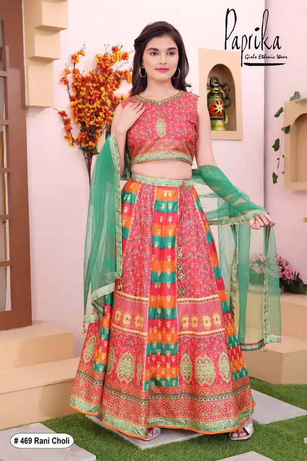 Elegant choli with modern appeal