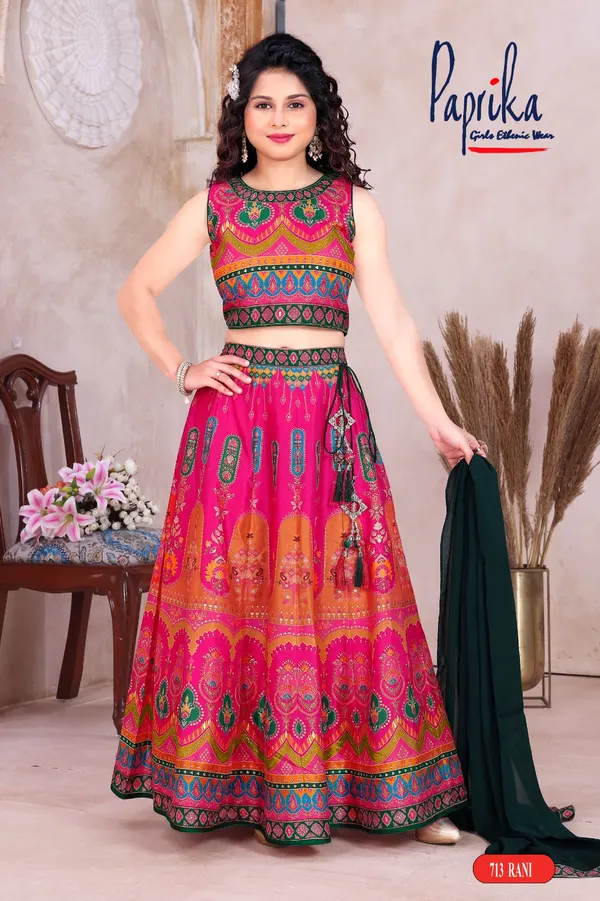 Elegant choli with modern appeal