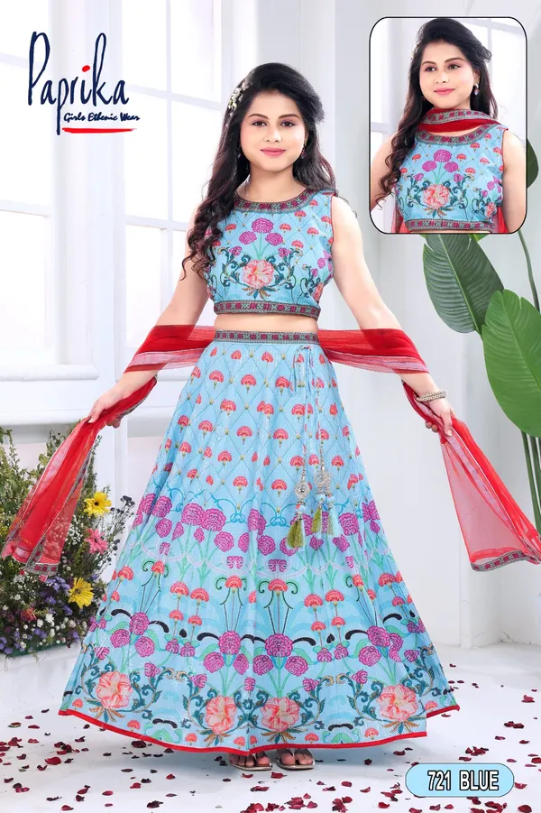 Classic choli for traditional occasions