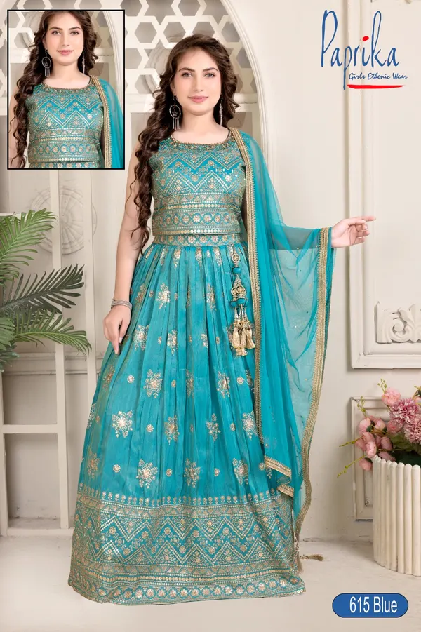 Elegant choli with modern appeal