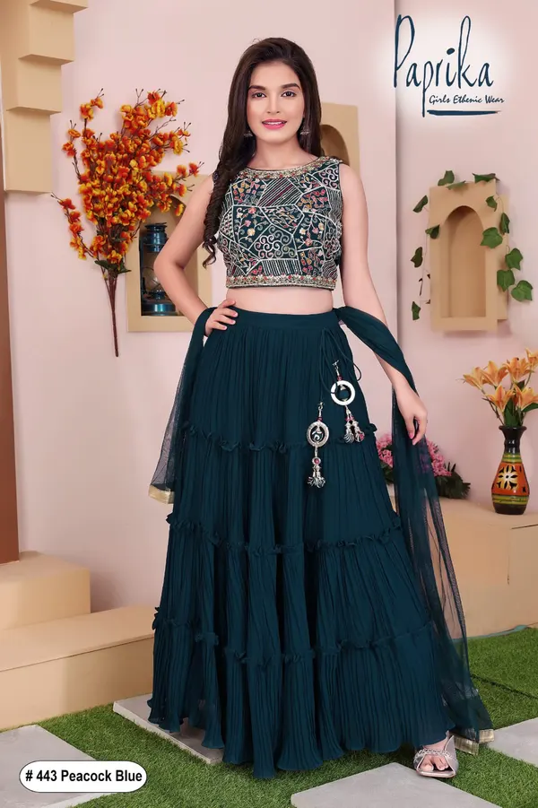 Elegant choli with modern appeal