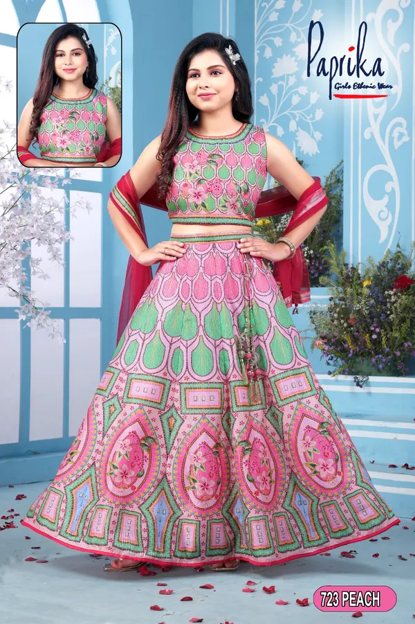 Elegant choli with modern appeal