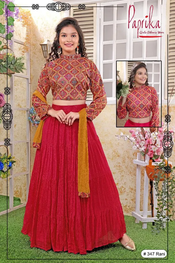 Elegant choli with modern appeal