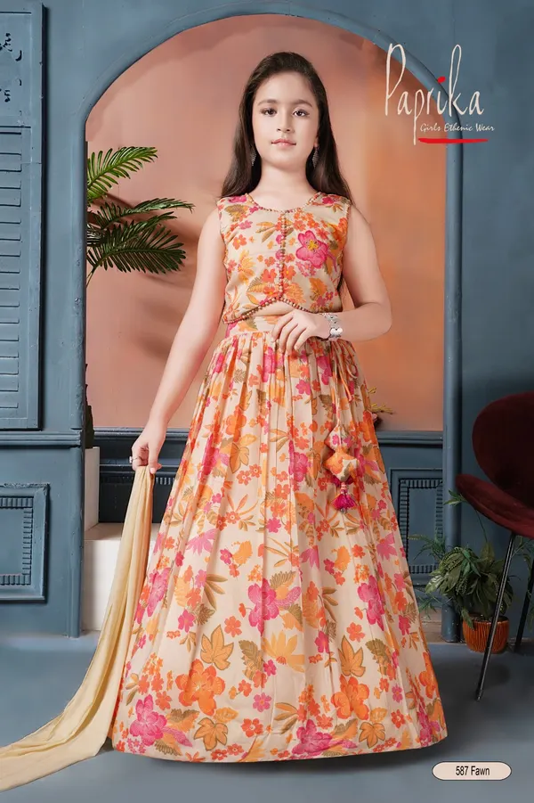 Elegant choli with modern appeal