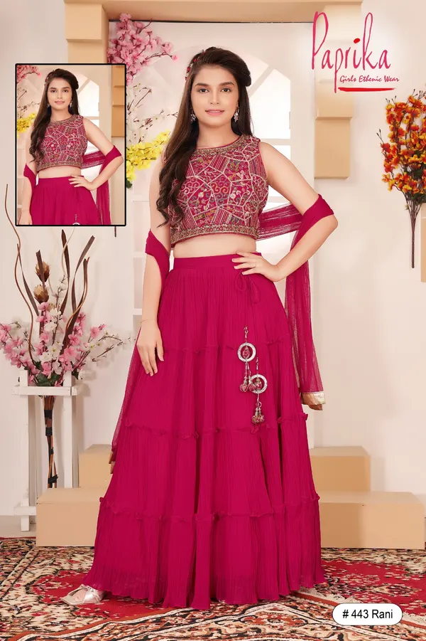 Elegant choli with modern appeal